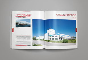 凝練品牌精髓，彰顯卓越風范——洛娃集團畫冊整合設計與企業形象策劃