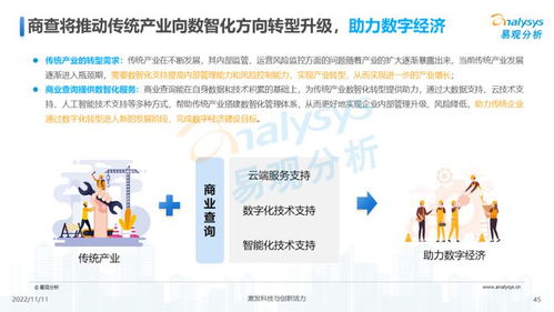 透視用戶需求，深挖服務(wù)潛力 2022中國商業(yè)查詢行業(yè)洞察